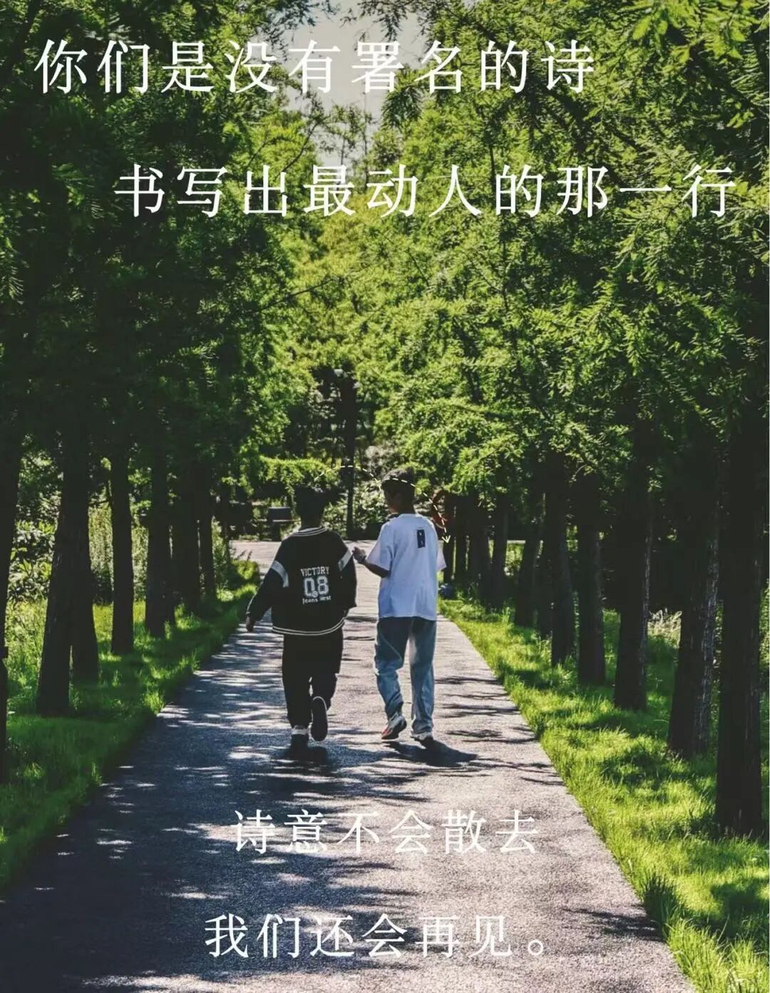电子游戏麻将胡了app