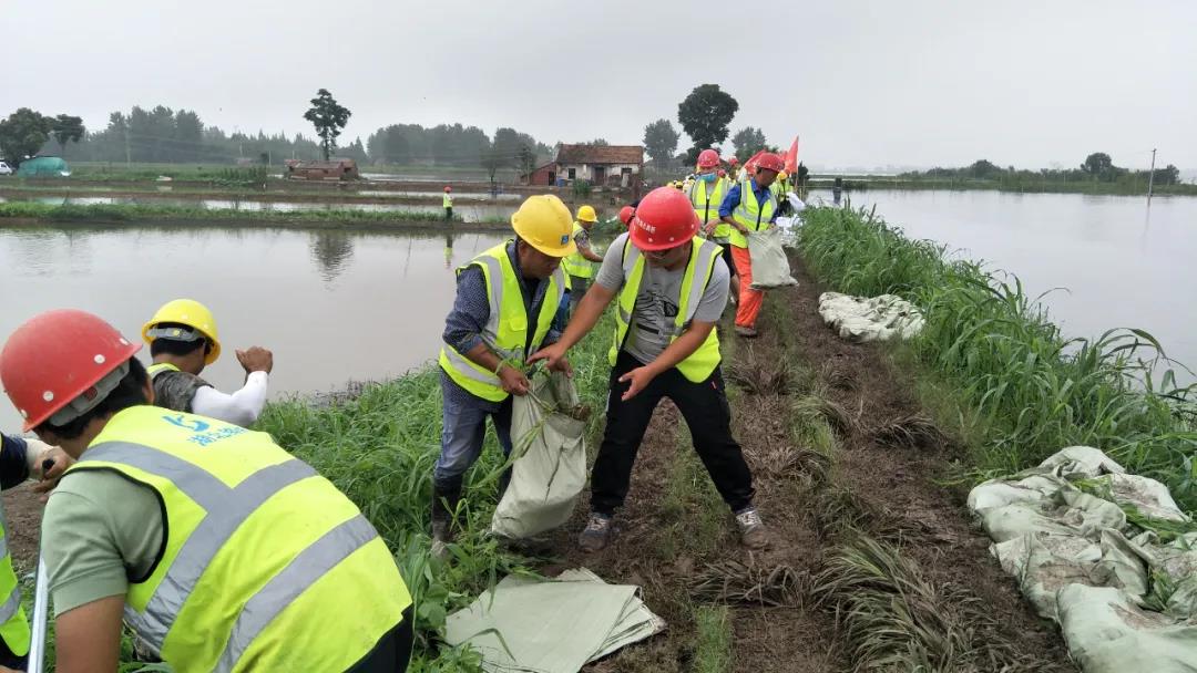 电子游戏麻将胡了app