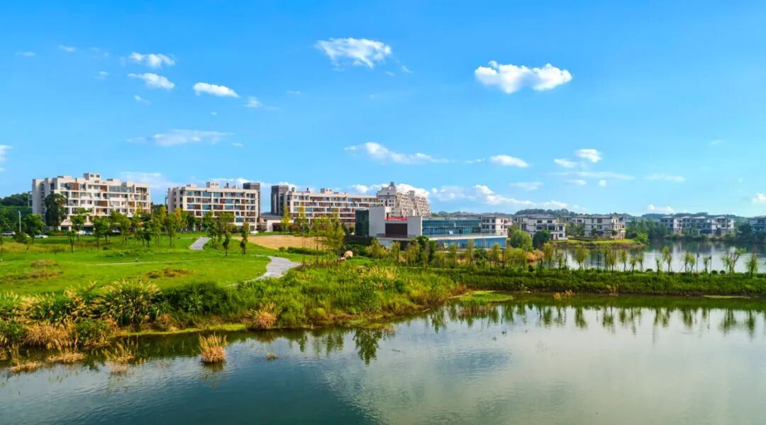 电子游戏麻将胡了app