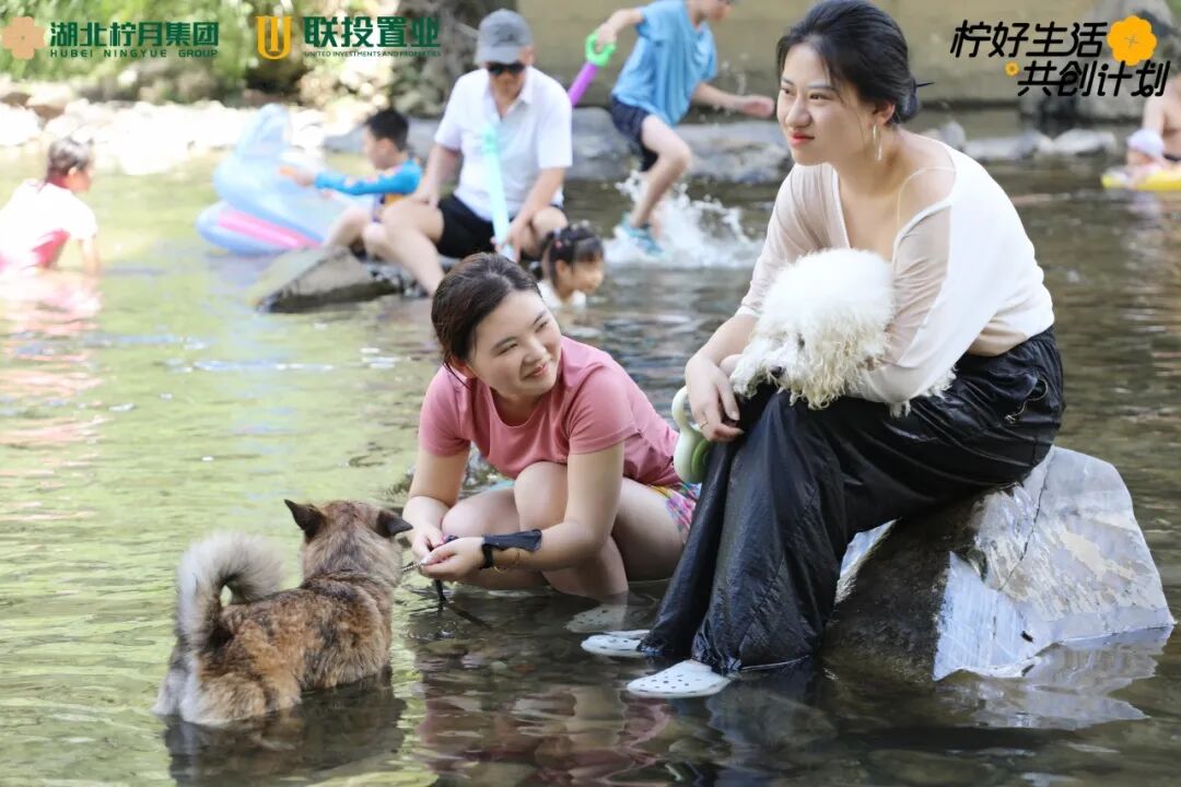 电子游戏麻将胡了app