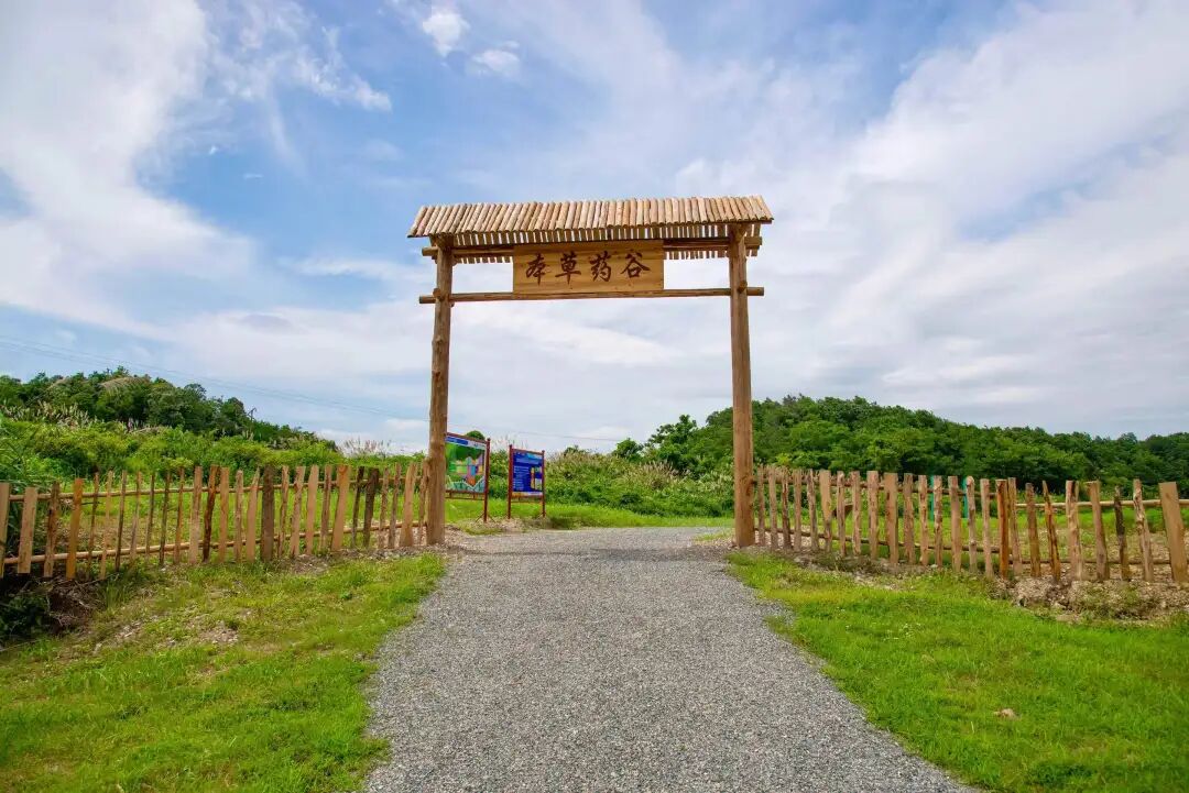 电子游戏麻将胡了app