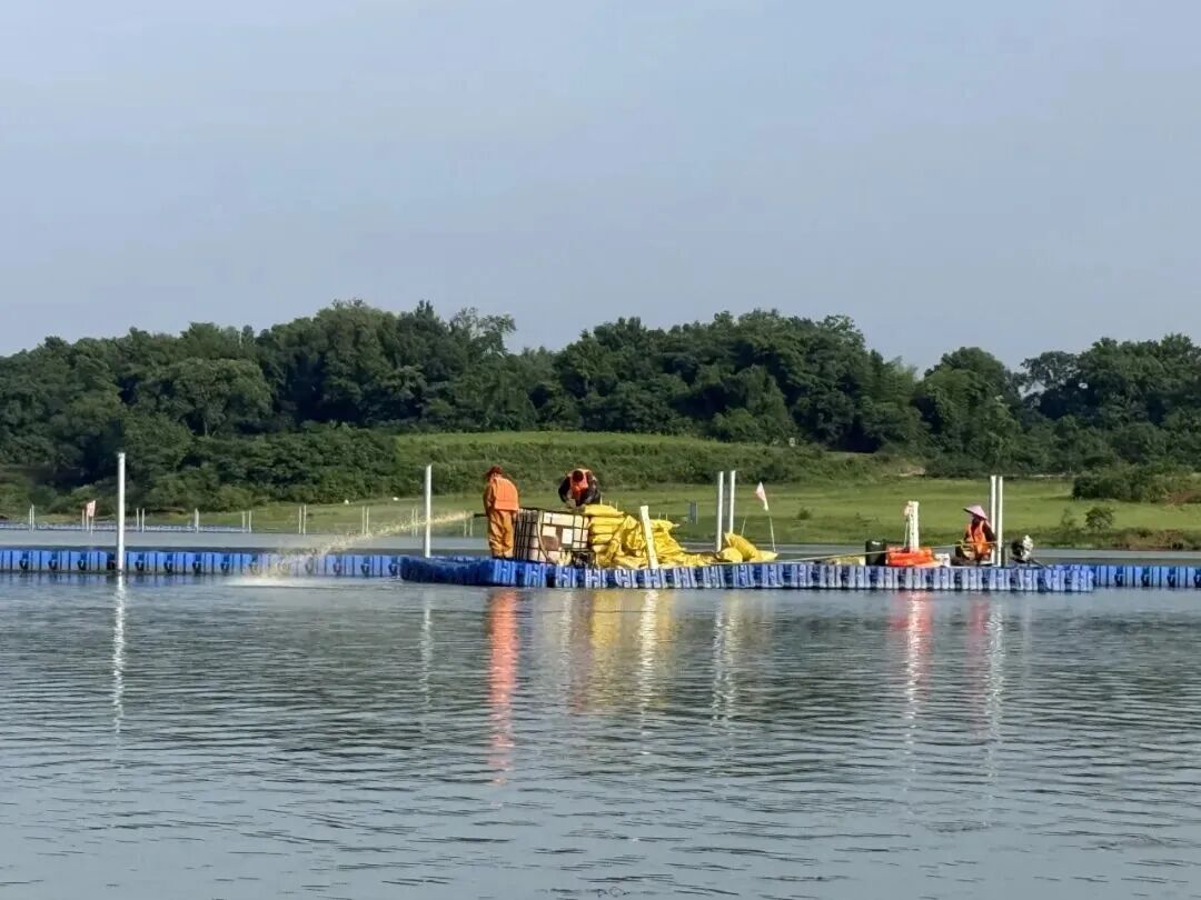 电子游戏麻将胡了app